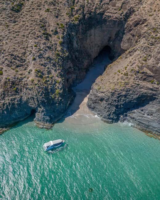 Wirrina Cove: Coastal Sightseeing Boat Tour with Seal Colony - The Itinerary in Detail