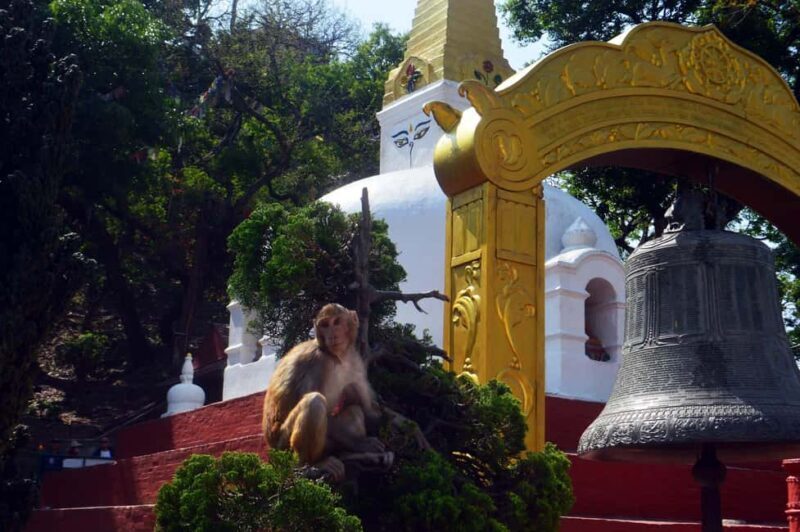 Wisdom Eyes of Kathmandu: An exploration of Buddhist Stupas - Practical aspects of the tour