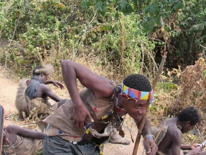 Witnessing the great Hadzabe Cultural 1-Day Trip Tour - Key Points