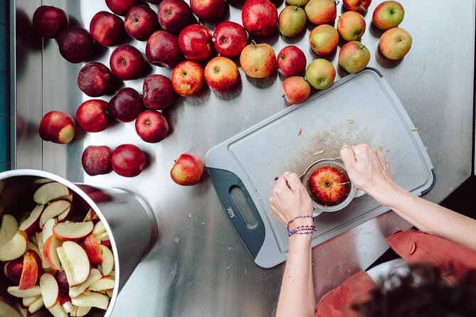 wittenburg-elephant-gins-distillery-tour-near-hamburg