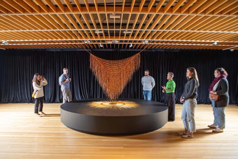 WLG: Museum of NZ Art Narratives Tour & General Admission - Why This Tour Is a Great Choice