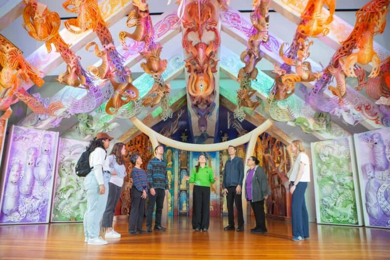 WLG: Museum of NZ Mori Highlights Tour & General Admission - Key Points