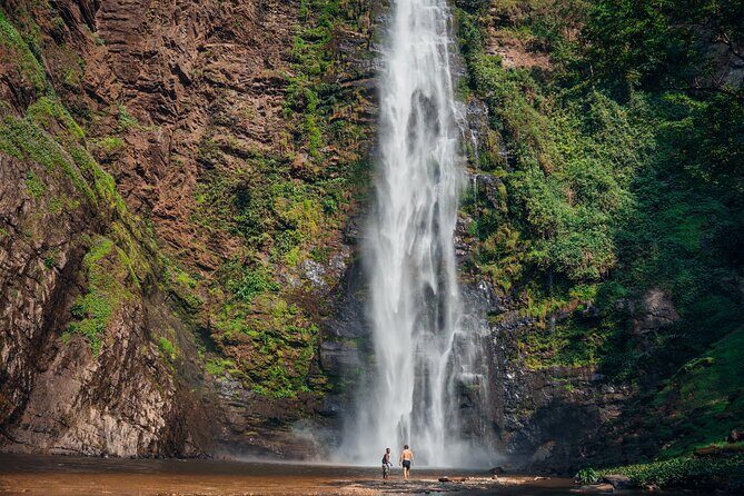 Wli Waterfall and Tafi Atome Monkey Sanctuary (Day Visit) - Key Points