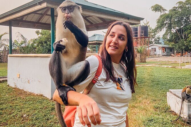 Wli Waterfall and Tafi Atome Monkey Sanctuary (Day Visit) - Who Should Consider This Tour