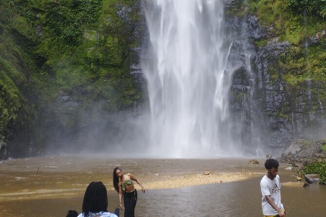 Wli Waterfall and Tafi Atome Monkey Sanctuary Tour - The Sum Up: Is this tour right for you?