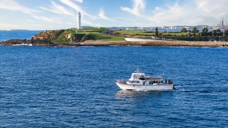 Wollongong Deep Sea Fishing Charter with Breakfast - Weekday - Detailed Overview of the Experience