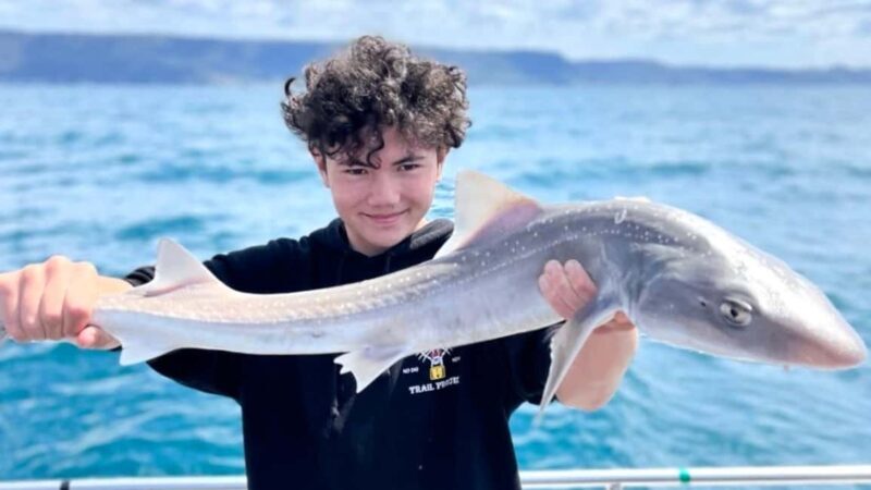 Wollongong Deep Sea Fishing Charter with Breakfast - Weekday - The Sum Up