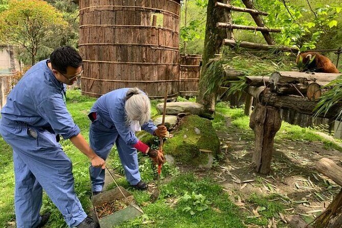 Wolong Panda Base Private Day Tour Optional Volunteering - Authentic Voices from Reviews