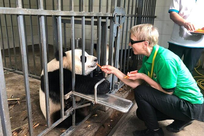 Wolong Panda Base Private Day Tour Optional Volunteering - The Sum Up: Who Is This Tour Best For?