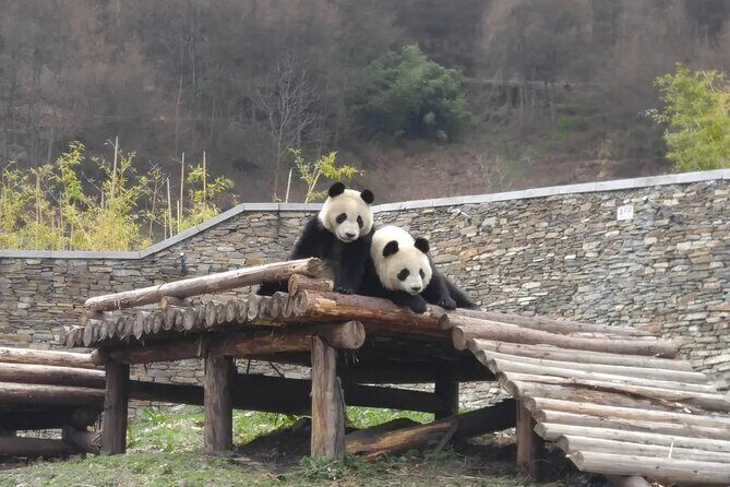 Wolong Panda Base Private Day Tour Optional Volunteering - FAQ