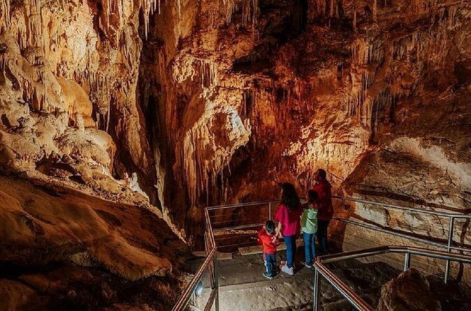 Wombeyan Caves: Fig Tree Cave Tour - Who Will Love This Experience?