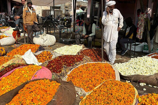 Women only Full Day Tour of Jaipur - Who This Tour Is Perfect For