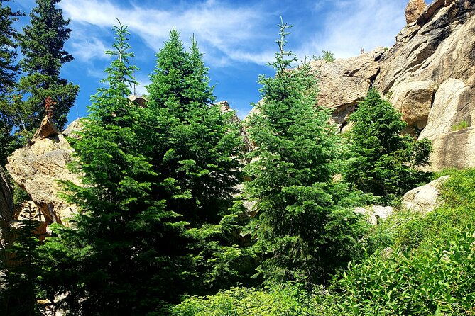 womens-hike-to-ouzel-falls-in-rocky-mountain-national-park