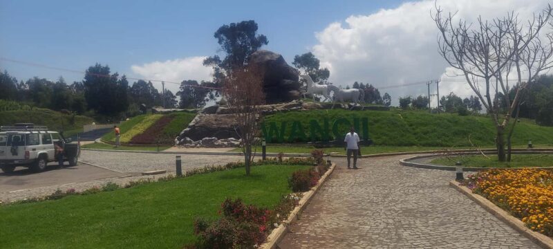 Wonch crater lake full day trip from addis - Activities at Wonchi Lake
