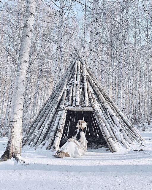 Wondae-ri Birch Forest and In-je Maebawi Icewall Day Tour - Why This Tour Is a Great Choice