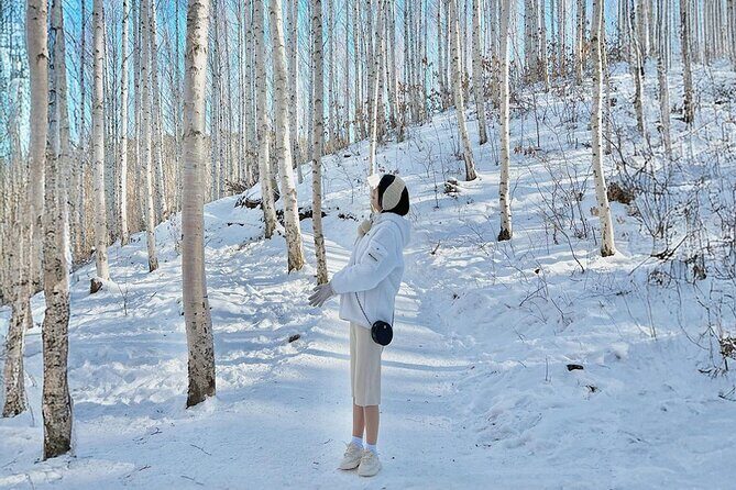 Wondae-ri Birch Forest and In-je Maebawi Icewall Full Day Tour - FAQ