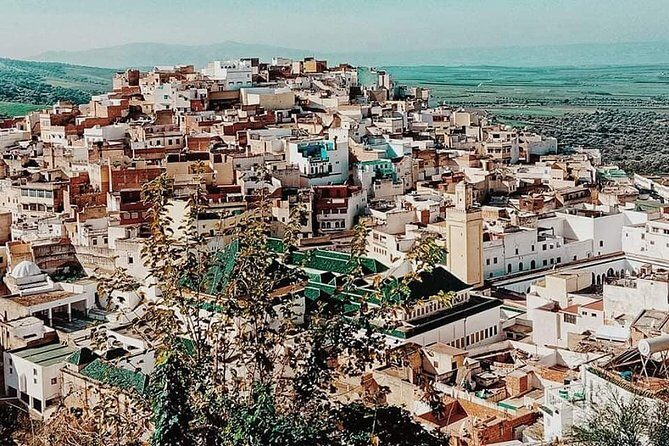 Wonderful 2days Tour To Meknes Volubilis & Chefchaouen From Fes - Who Is This Tour Best For?