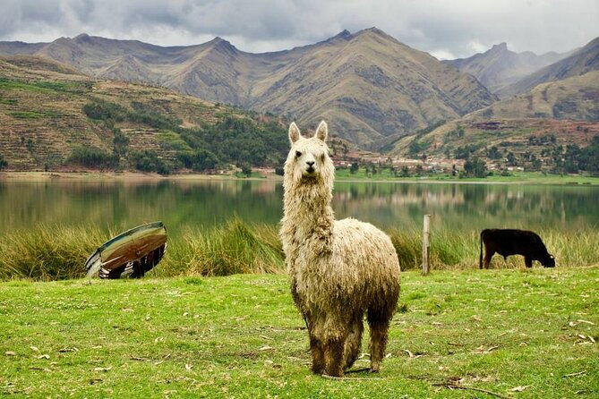 wonderful-cusco-5-day-tour-with-entrance-to-machupicchu