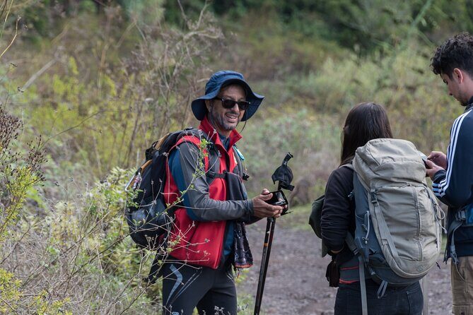 Wonderful hike through the Magic Forest of Tenerife - Practical Details & Value