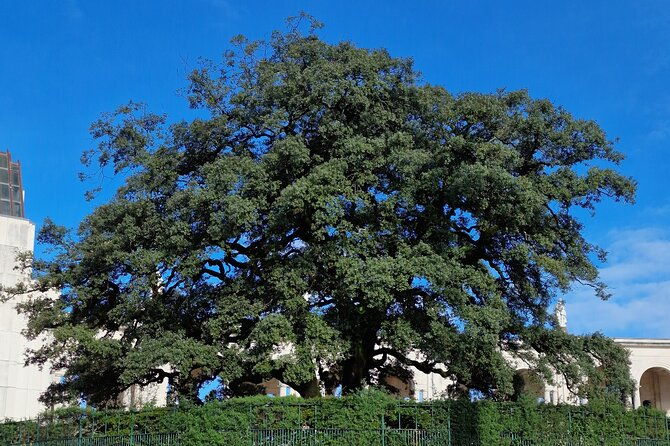 wonderful-private-full-day-tour-in-fatima-nazare-obidos