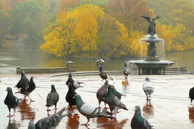 wonderland-tour-of-central-park