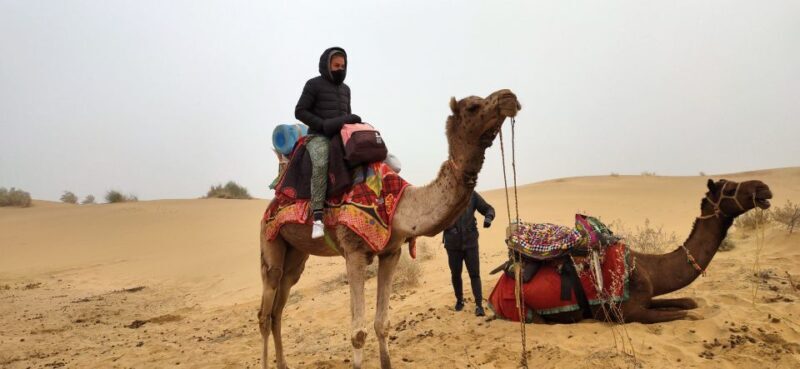 Wonderlust Camel Safari with Rumi Caravan of Thar Desert - Final Thoughts: Is It Worth It?