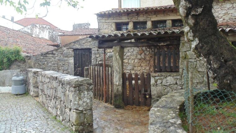 wonders-of-fatima-half-day-private-tour