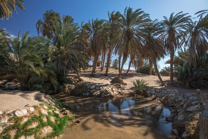Wonders of Tabuk Tour 3 Days 2 Nights Tour - A Deep Dive into the Wonders of This Tour