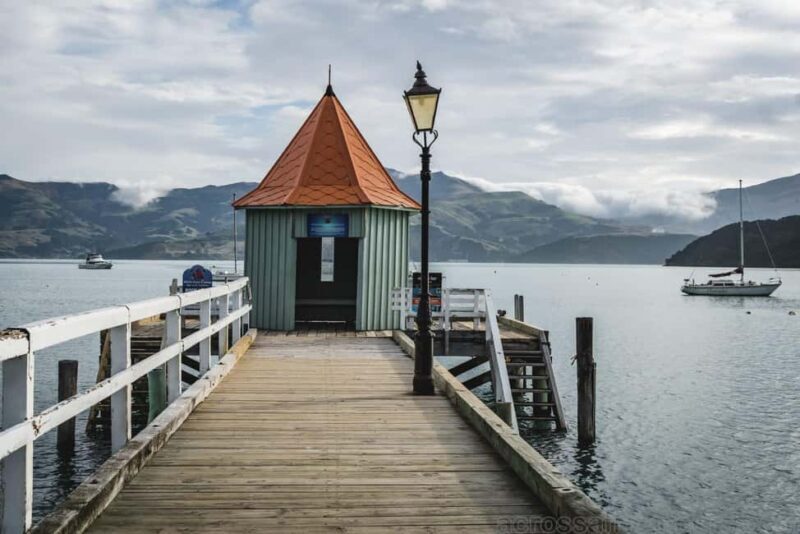 Wonders of Wellington: A Day of Icons, Views & Culture - A Closer Look at the Itinerary
