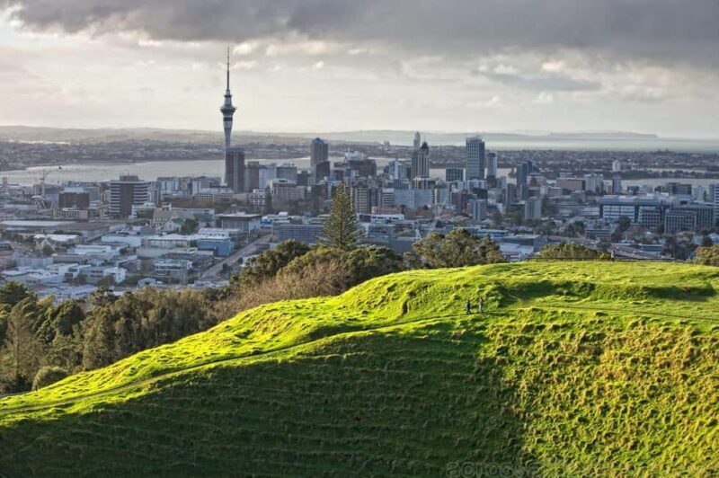 Wonders of Wellington: A Day of Icons, Views & Culture - What Makes This Tour Stand Out