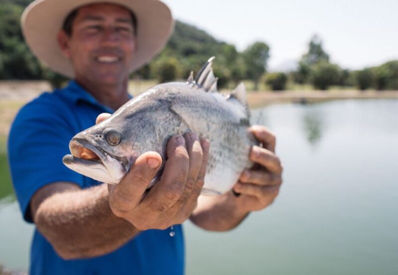 Wonga: Daintree Saltwater Farm Tour - FAQs