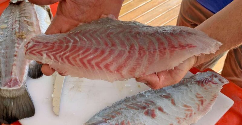 Wonga: Guided Fishing, Farming and Tasting Tour - Key Points