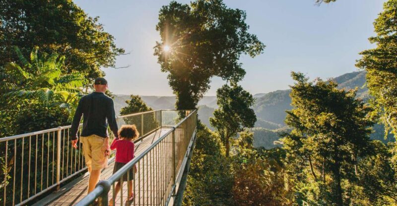Wooroonooran National Park: Mamu Tropical Skywalk Admission - Key Points