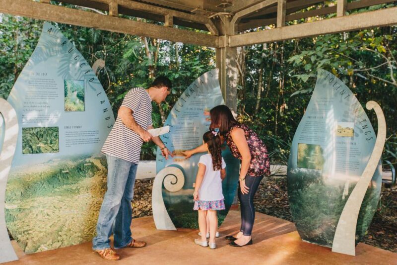 Wooroonooran National Park: Mamu Tropical Skywalk Admission - Introduction to the Tour