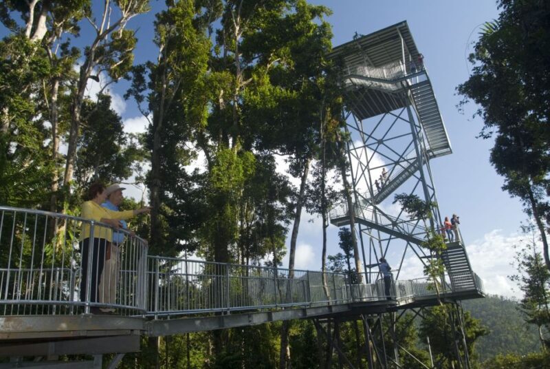 Wooroonooran National Park: Mamu Tropical Skywalk Admission - Practical Details and What’s Included