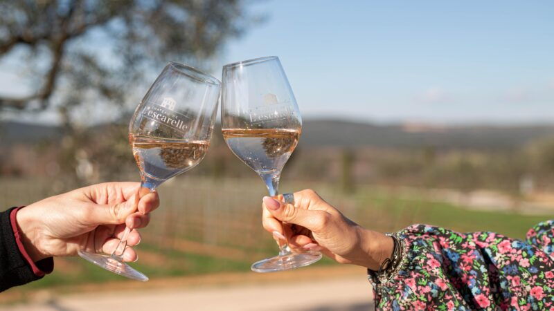 workshop-august-1-2025-at-chateau-lescarelle-introduction-to-wine-tasting