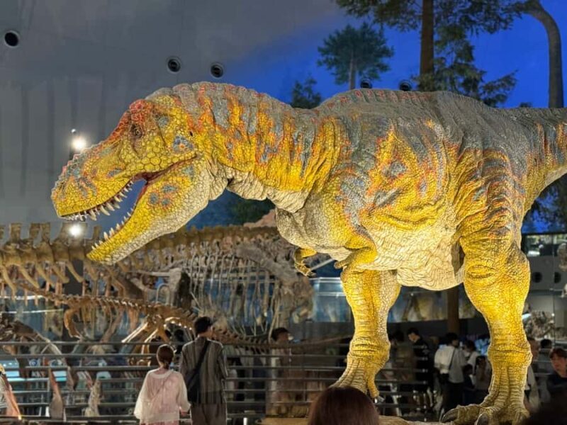 World-Class Dinosaur Museum Tour from Kanazawa - Practical Details: What Makes This Tour Stand Out
