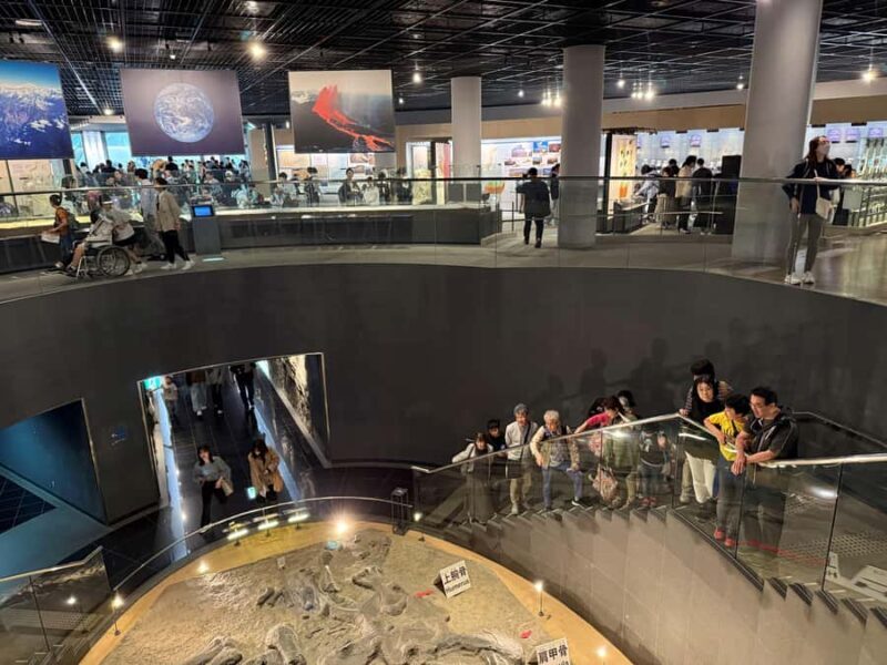 World-Class Dinosaur Museum Tour from Kanazawa - Final Thoughts
