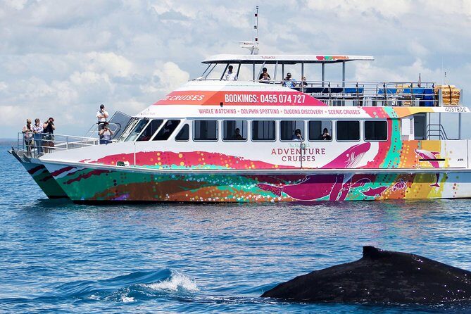 World class Whale Watching from Hervey Bay - The Sum Up