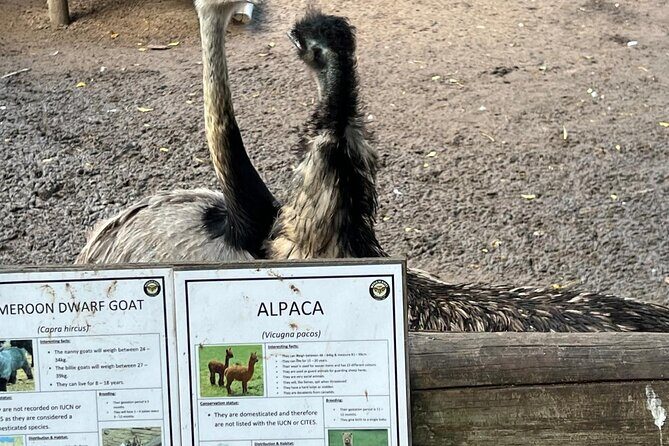 World of Birds, Kirstenbosch and Constantia Wine Private Day Tour - Key Points