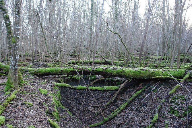 world-war-1-walk-through-trenches-and-bunkers