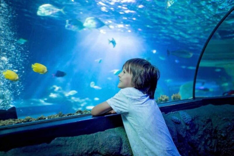wroclaw-2-hour-guided-tour-for-children