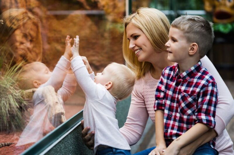 wroclaw-zoo-with-private-transport-and-tickets