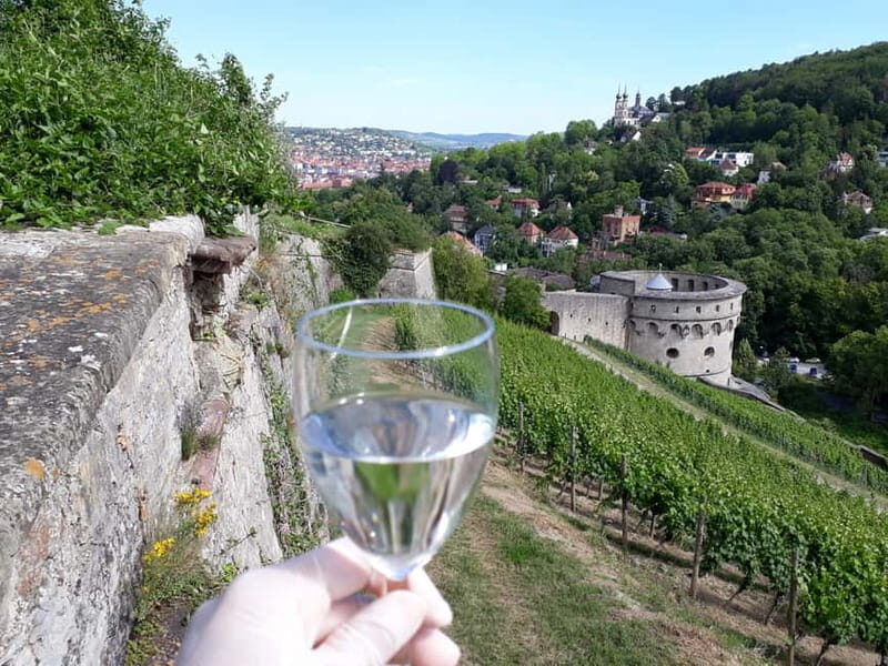 Wuerzburg: Vineyard rally with wine tasting and group dynamics - A Closer Look at the Würzburg Vineyard Rally Experience