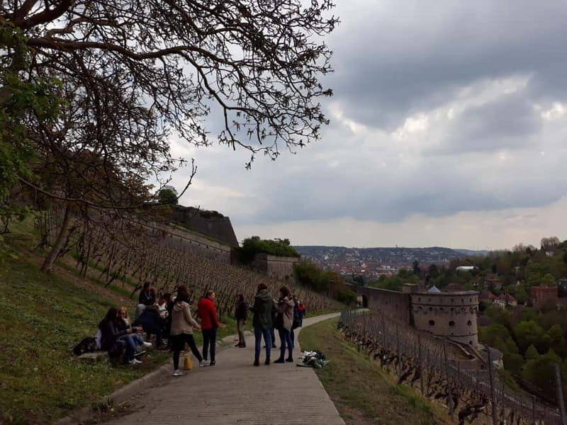 Wuerzburg: Vineyard rally with wine tasting and group dynamics - Final Thoughts: Who Will Love This Tour?