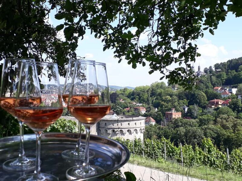Wuerzburg: Wine mountain rally with wine tasting and group dynamics - Exploring the Itinerary and Experience