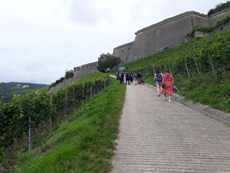 Wuerzburg: Wine mountain rally with wine tasting and group dynamics - Who Will Love This Experience?