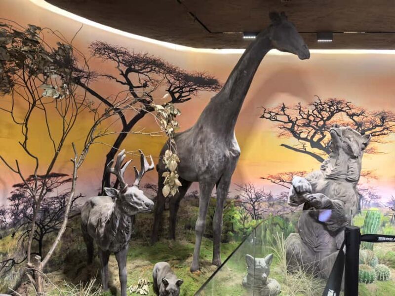 Wuhan: Hankou Night Tour with Craft Beer Tasting - Exploring the Hankou Night Tour Step-by-Step