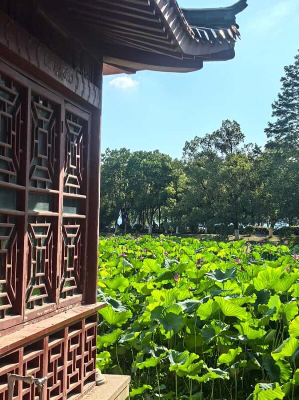 Wuhan Tianhe International Airport - Wuhan East Lake Moshan - The Sum Up