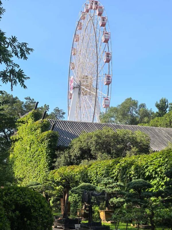 Wuhan Tianhe International Airport - Wuhan East Lake Moshan - FAQ